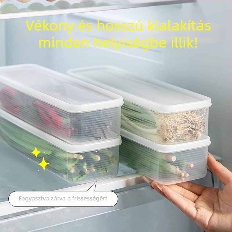 Műanyag tárolóedény koriander és zöldhagyma frissességének megőrzésére — testreszabható, egyszerű, modern dizájn