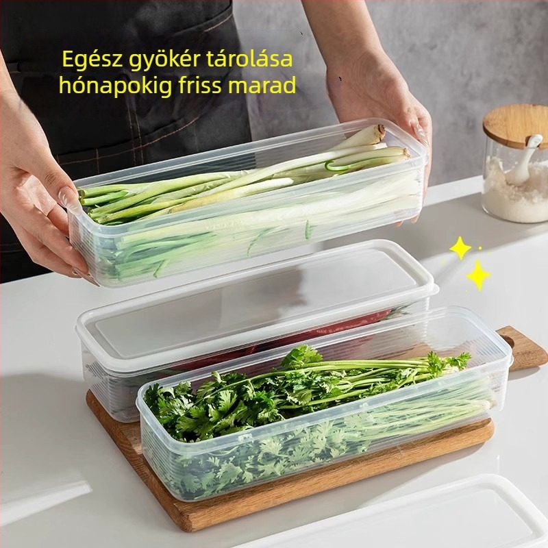 Műanyag tárolóedény koriander és zöldhagyma frissességének megőrzésére — testreszabható, egyszerű, modern dizájn