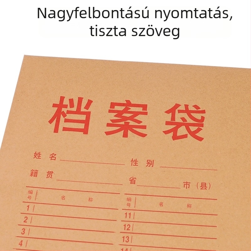 Dr. Xiao kraft papír irattárca zsinórzárással, téglakő alakú