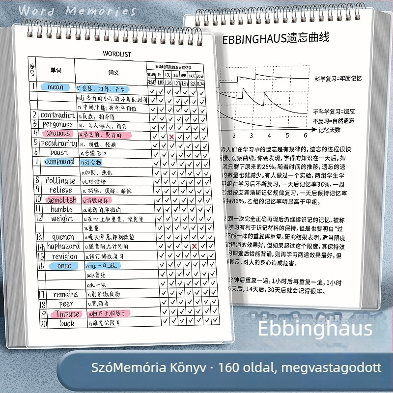 Kaba Bear angol szókincs notesz PP borítóval, loose-leaf kötés, fa cellulóz alapú papír, 80 g/m², 100 oldal