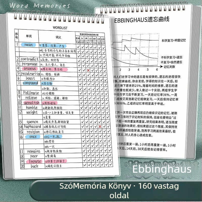 Kaba Bear angol szókincs notesz PP borítóval, loose-leaf kötés, fa cellulóz alapú papír, 80 g/m², 100 oldal