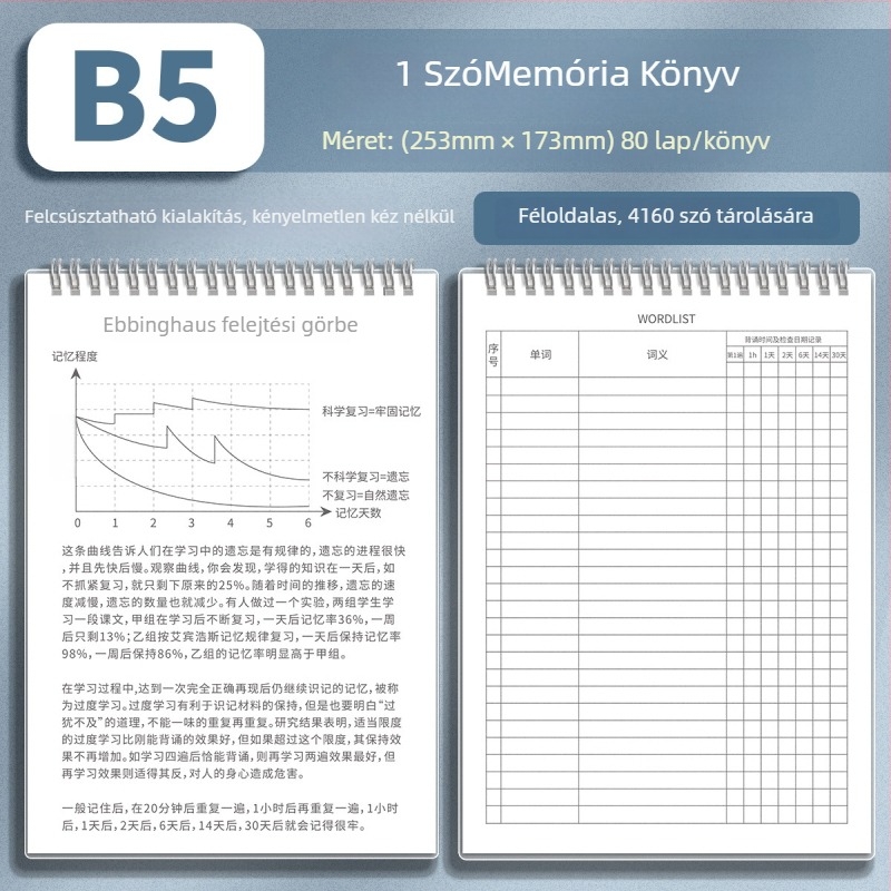 Kaba Bear angol szókincs notesz PP borítóval, loose-leaf kötés, fa cellulóz alapú papír, 80 g/m², 100 oldal