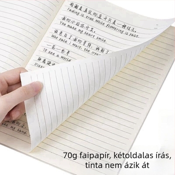 Irodai stílusú notesz lazán kötve, 50 oldal, papírtokkal, nyers fa rostból készült papír