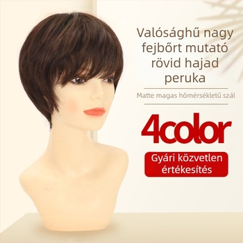 Louise női paróka, rövid egyenes haj, hőálló matt rost, teljes fejfedés