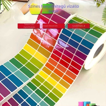 PVC öntapadós névjelzők – téglalap alakú, vízálló, UV nyomtatás, osztályazonosításra