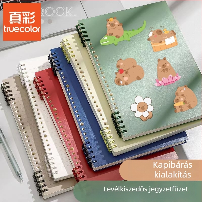 Füzet kapcsos kötésével, PP borító, 70 g/m² faalapú rostpapír, 100–200 oldal, japán/koreai stílus
