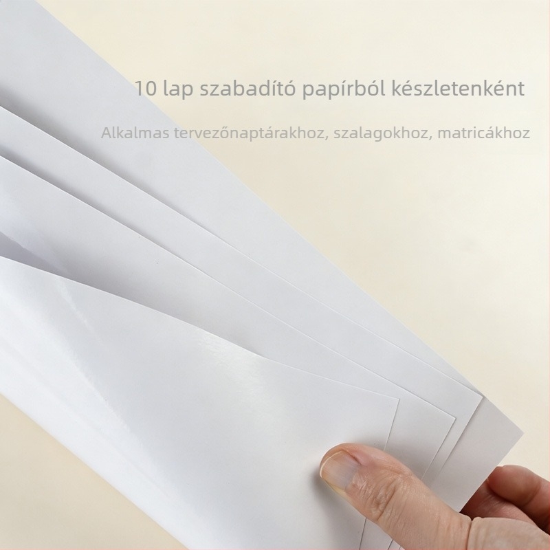 Csere belső egység PVC belső oldalakkal, 6 lyuk, 25 lap, modell 1029