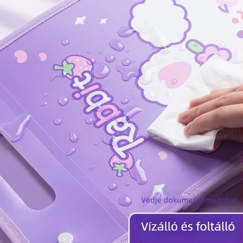 Kaba Bear KBX-7049 Hordozható Fájl Szervező Diákoknak, Műanyag, 12 Rekesz, Vizsgadolgozatok Tárolására