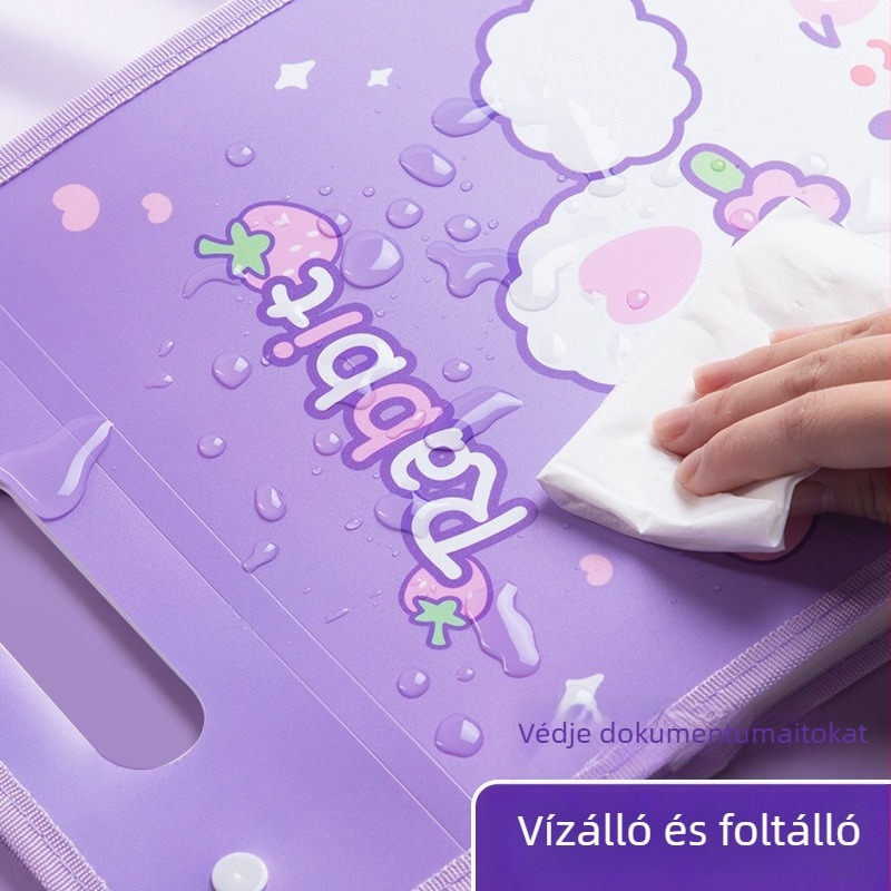 Kaba Bear KBX-7049 Hordozható Fájl Szervező Diákoknak, Műanyag, 12 Rekesz, Vizsgadolgozatok Tárolására