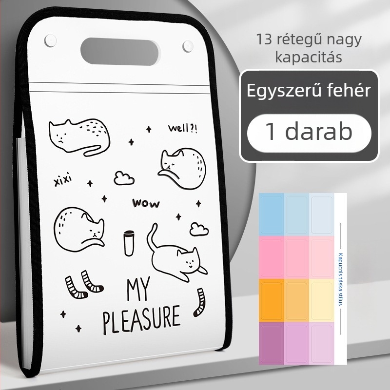 Kaba Bear KBX-7049 Hordozható Fájl Szervező Diákoknak, Műanyag, 12 Rekesz, Vizsgadolgozatok Tárolására