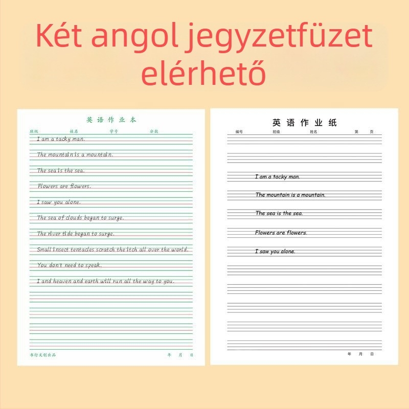 Angol nyelvű gyakorlófüzet 3–6. osztályosoknak, négysoros rácsos tervezés, ragasztott kötés, 30 oldal, papír 80–100 g, aranyos japán–koreai stílus.