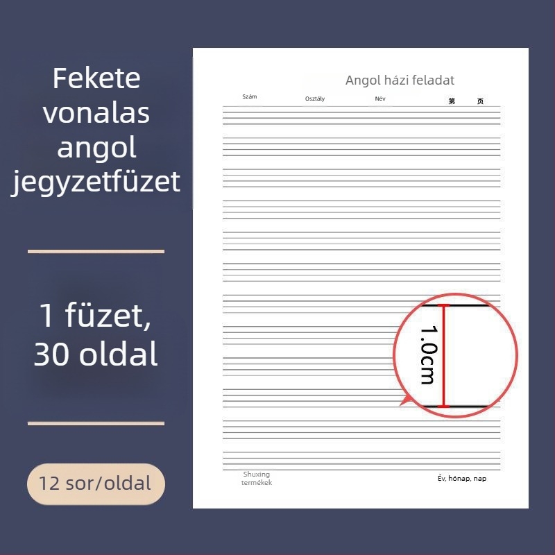 Angol nyelvű gyakorlófüzet 3–6. osztályosoknak, négysoros rácsos tervezés, ragasztott kötés, 30 oldal, papír 80–100 g, aranyos japán–koreai stílus.