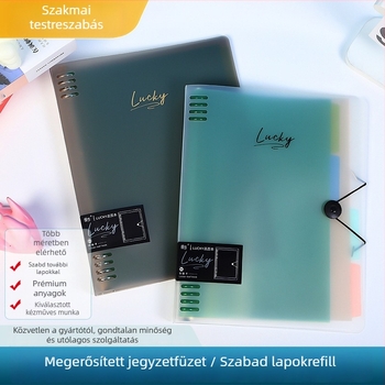 8-lyukú mappa kivehető oldalakkal, modell B5, PP belső lapok, logó nyomtatás elérhető