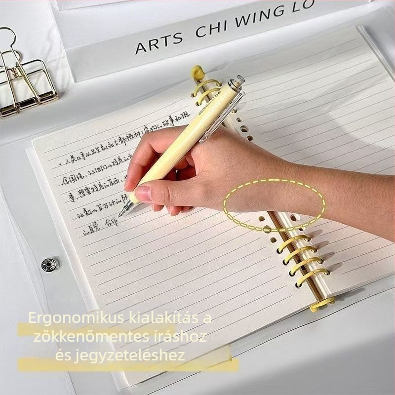 A5-ös méretű puha borítású notesz, átlátszó bőrhatású kivitel, egyszerű diákoknak, levehető oldalakkal