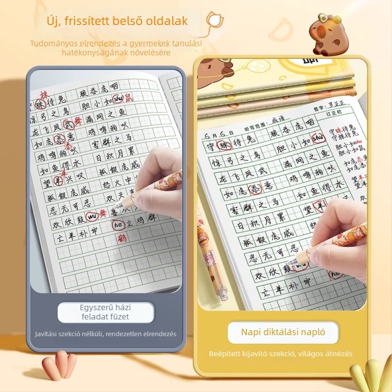 Gyakorlófüzet karakterírási rács, napi diktálás, pinyin és angol szavak; 40 oldal, 80 g papír