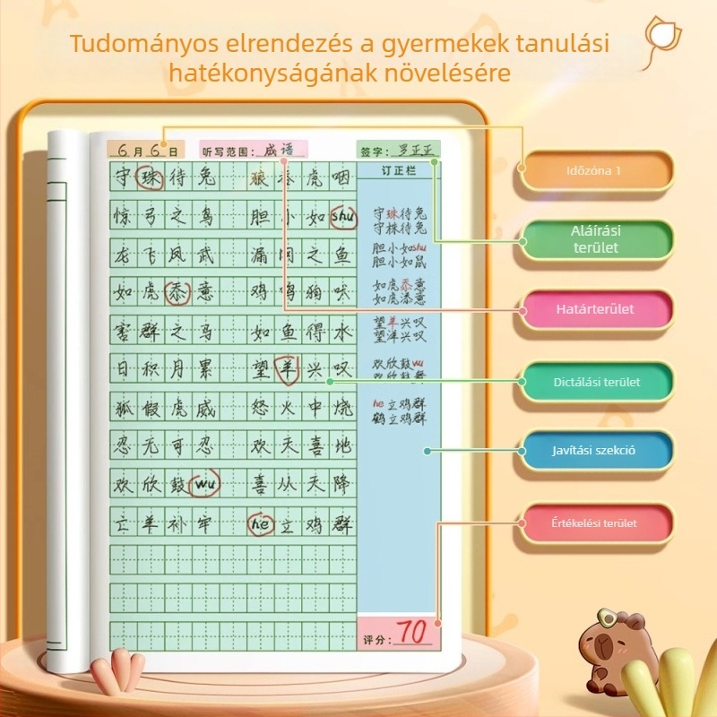Gyakorlófüzet karakterírási rács, napi diktálás, pinyin és angol szavak; 40 oldal, 80 g papír