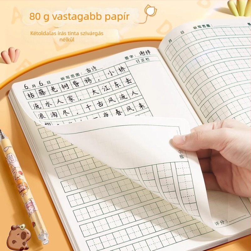 Gyakorlófüzet karakterírási rács, napi diktálás, pinyin és angol szavak; 40 oldal, 80 g papír
