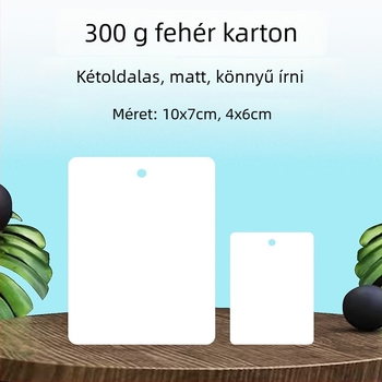 Üres akasztó címke és kis kártya címke – 300 g karton, lyukasztott, otthoni nyomtatású a gyári raktárkörözéshez és kézzel írt nyilvántartásokhoz