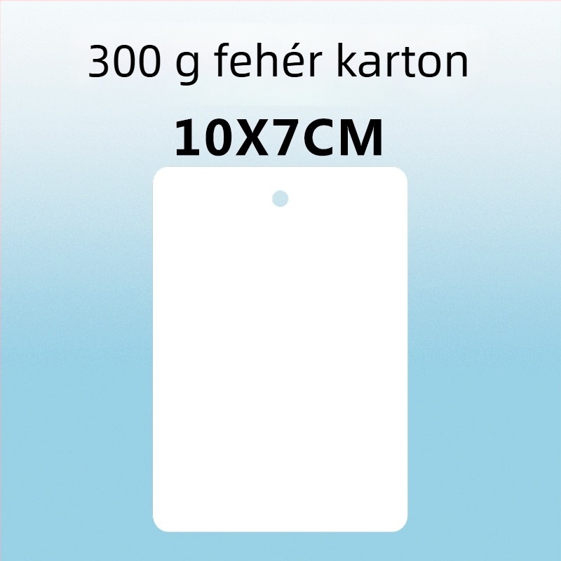 Üres akasztó címke és kis kártya címke – 300 g karton, lyukasztott, otthoni nyomtatású a gyári raktárkörözéshez és kézzel írt nyilvántartásokhoz