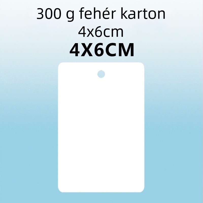 Üres akasztó címke és kis kártya címke – 300 g karton, lyukasztott, otthoni nyomtatású a gyári raktárkörözéshez és kézzel írt nyilvántartásokhoz