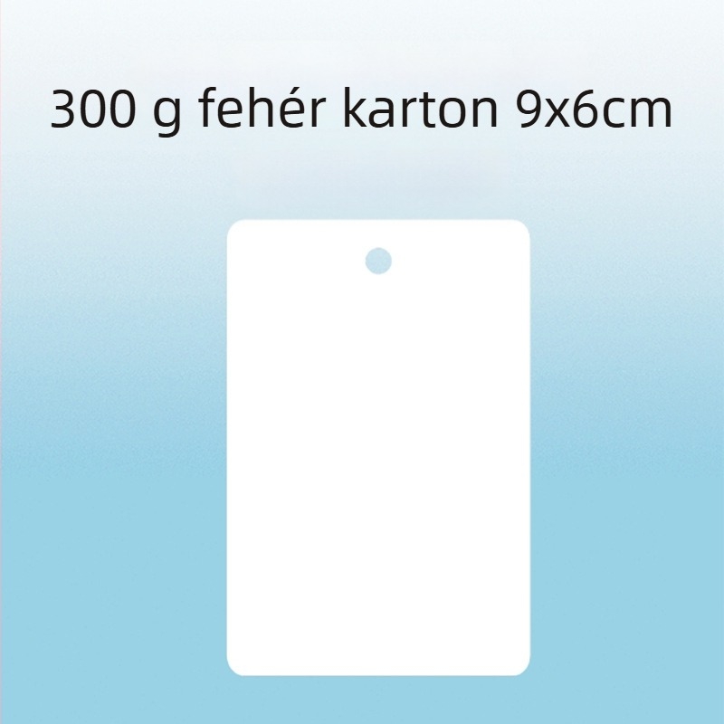 Üres akasztó címke és kis kártya címke – 300 g karton, lyukasztott, otthoni nyomtatású a gyári raktárkörözéshez és kézzel írt nyilvántartásokhoz