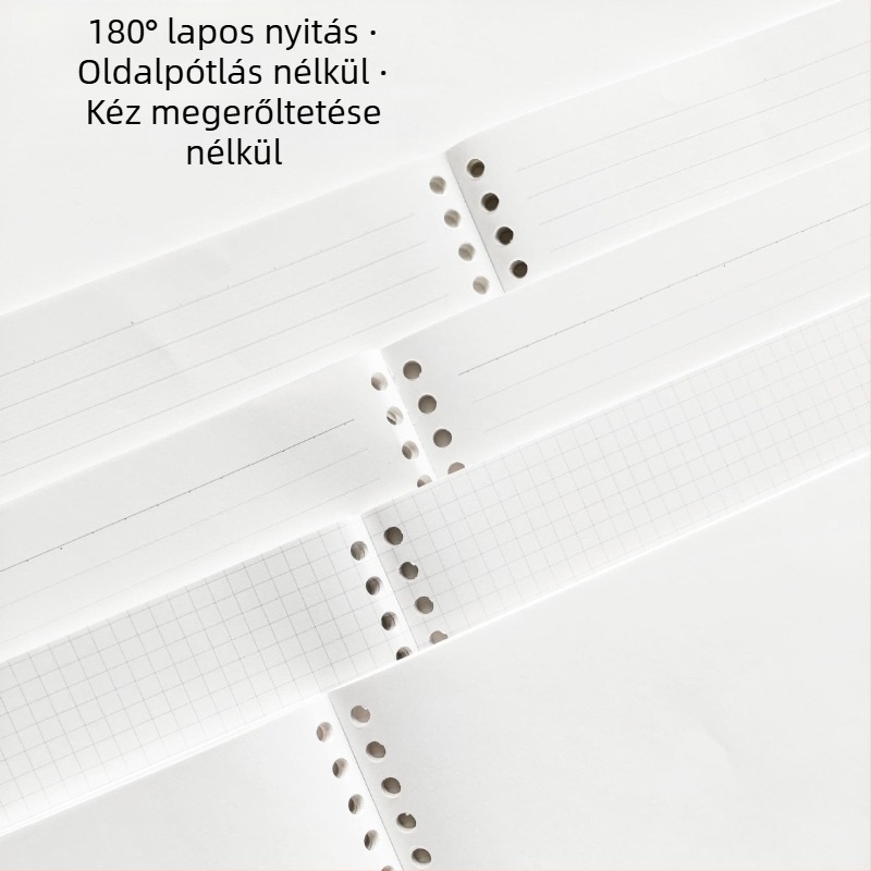B5 jegyzetfüzet kivehető oldalakkal, 50 oldal, 26 lyukas perforáció, dupla offset papír
