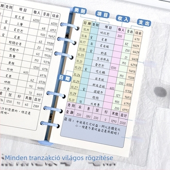 A6 Lefűzhető számviteli napló, napi kiadások és családi pénzügyek, aranyos japán/koreai stílus
