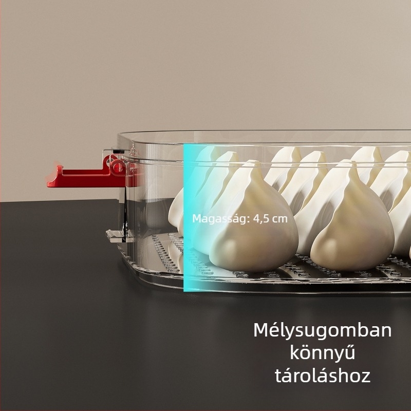 Dumpling tároló doboz — műanyag, hordozható, frissesség megőrzése, zárás, nordic stílus