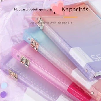 Manlewen F310 Megvastított gerinccel lyukas notesz, kivehető lapokkal, 120 oldal, dupla index