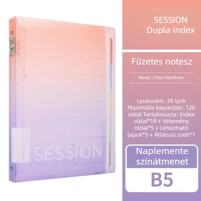 Manlewen F310 Megvastított gerinccel lyukas notesz, kivehető lapokkal, 120 oldal, dupla index