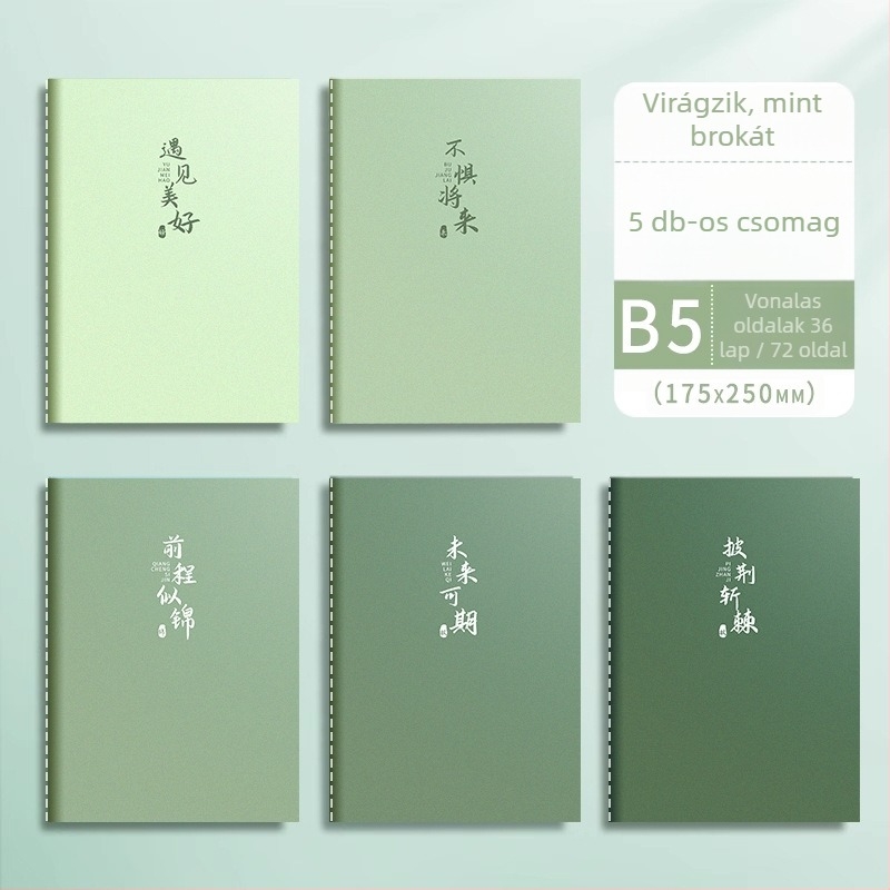 Jegyzetfüzet, Car Line Book sorozat, varrott kötés, Dowling papír, papírtömeg 70, 100–200 oldal