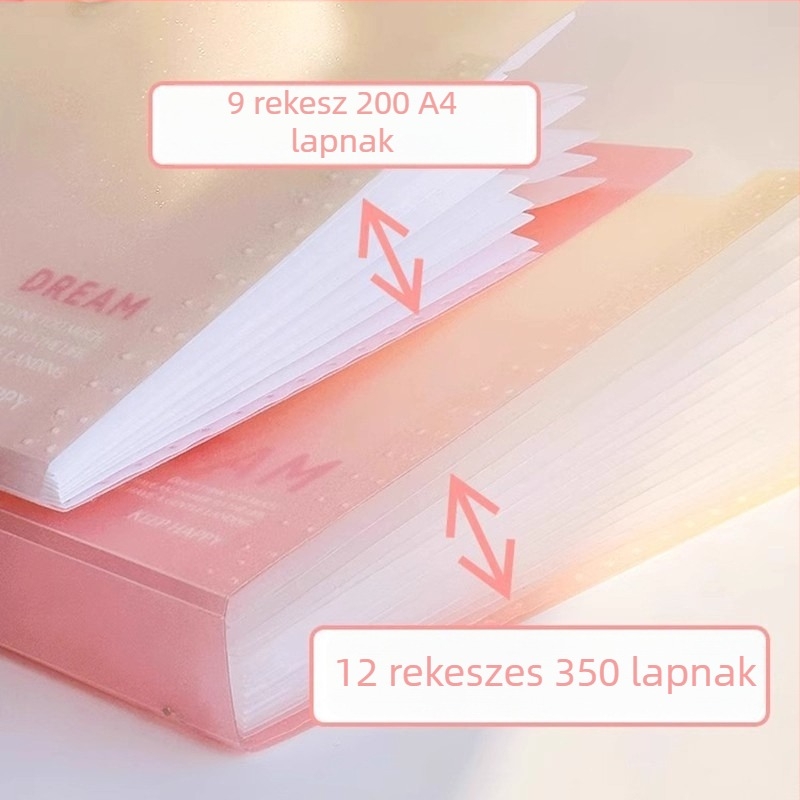 Zi Yi 12 rekeszes PP anyagú irattartó, függőleges akordeon dizájn, modell ZL30372