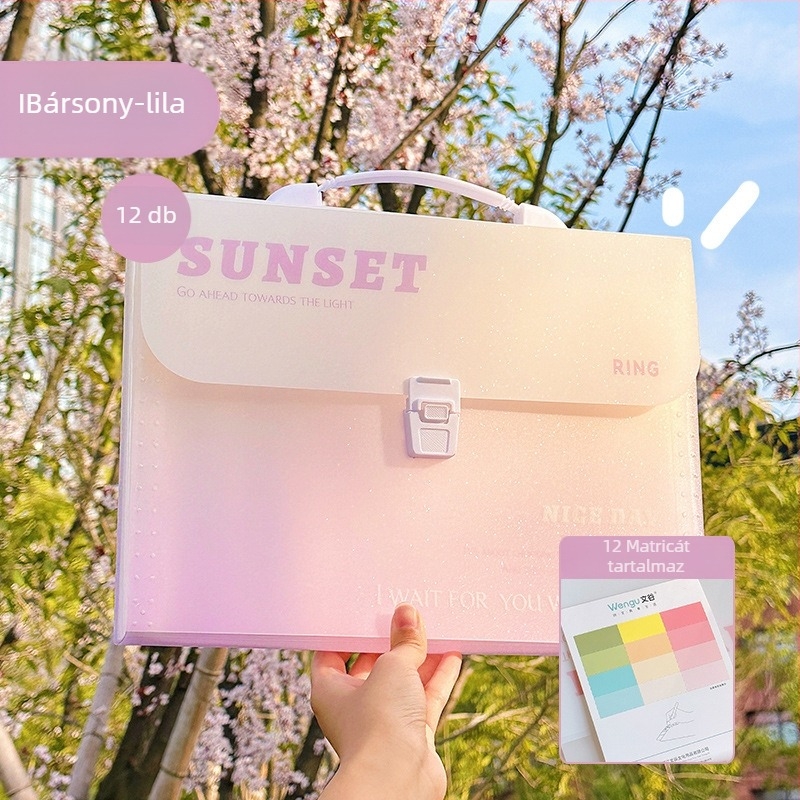 Zi Yi 12 rekeszes PP anyagú irattartó, függőleges akordeon dizájn, modell ZL30372