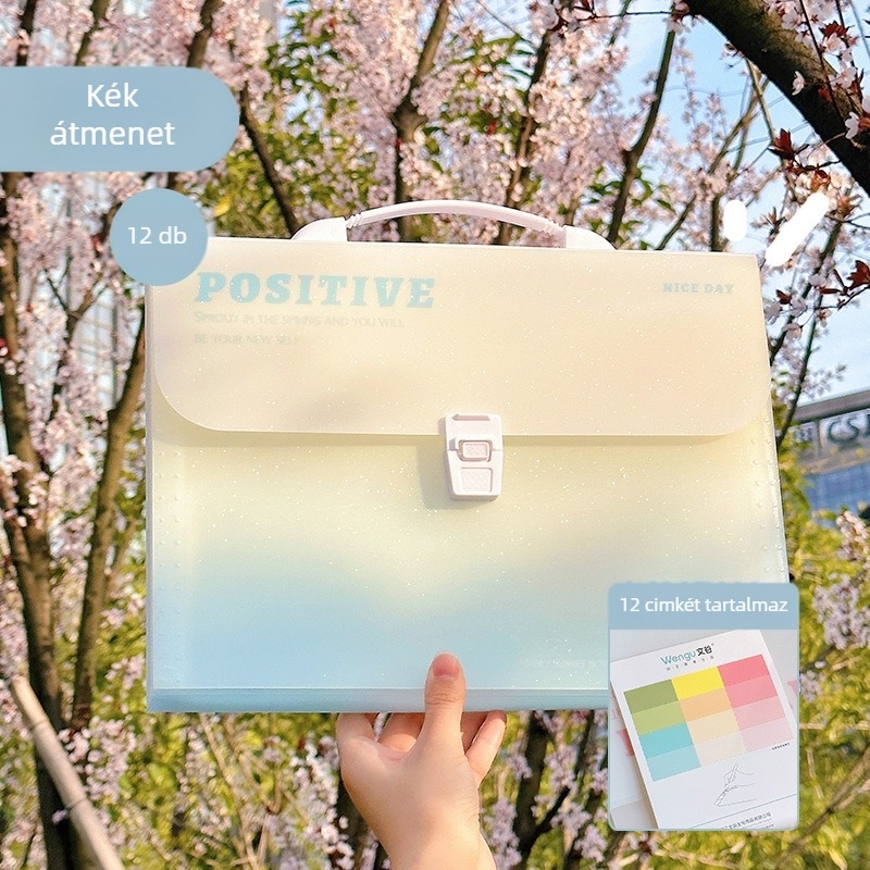 Zi Yi 12 rekeszes PP anyagú irattartó, függőleges akordeon dizájn, modell ZL30372