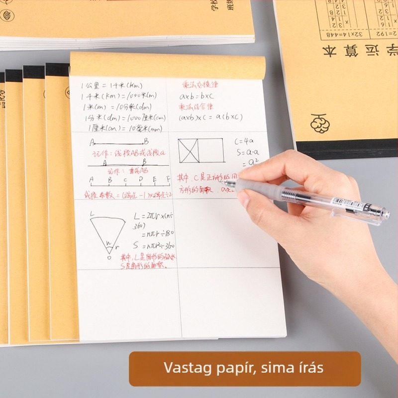 Draft papír felvételi vizsga magiszterihoz, 50–100 oldal, 70 gsm papír, ragasztott kötés, Alive márka