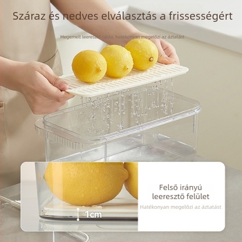Hűtőszekrény tároló doboz gyümölcsök és zöldségek számára, Liangshe, PET+PP+szilikon, megőrzi a frissességet és lezár, Zhejiang eredetű