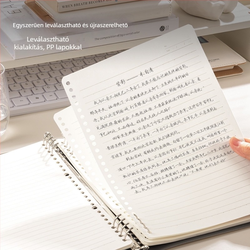 Deli Ha560-A kivehető notesz, 60 lap, 20 lyuk, belső oldalai papírból