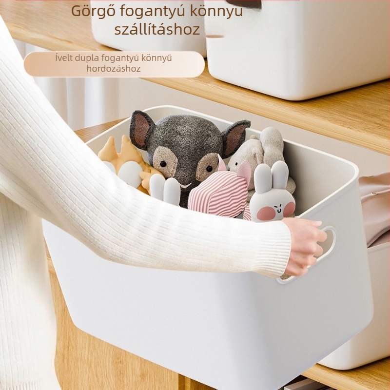 Asztali tároló doboz, PP műanyag tároló, modell Hk-25101501, kapacitás 18, modern minimalist stílus, nappaliba megfelelő