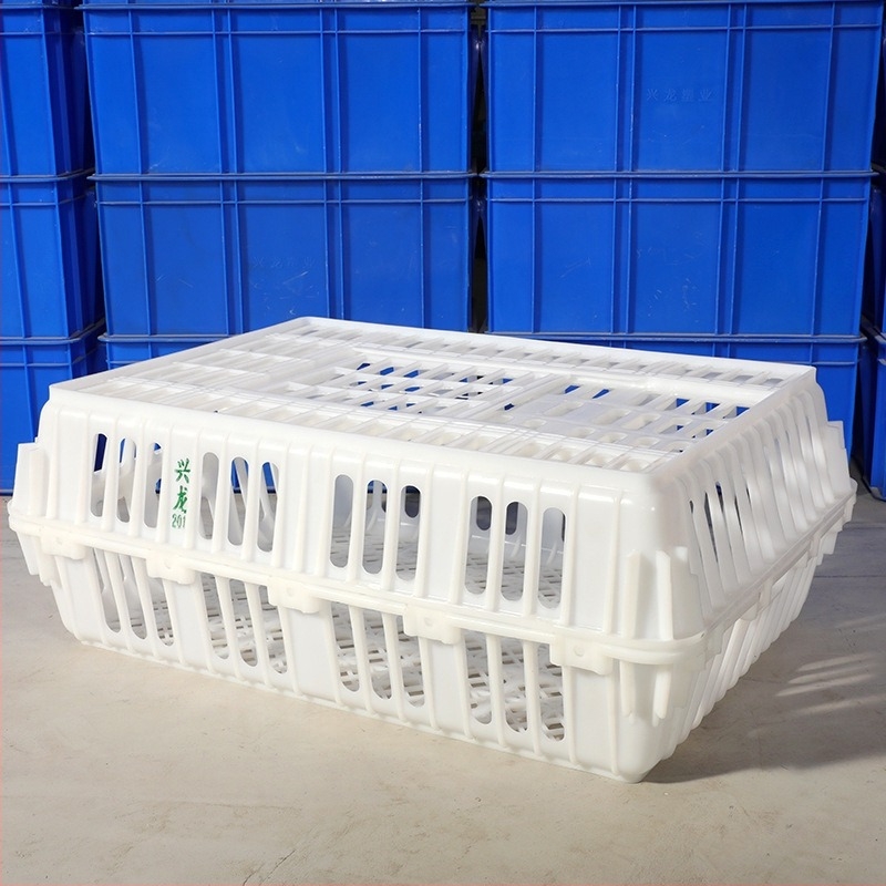 HDPE madárszállító rekesz élő madarak szállításához, magas teherbírású műanyag, nyomtatott logó, saját tömeg 5 kg