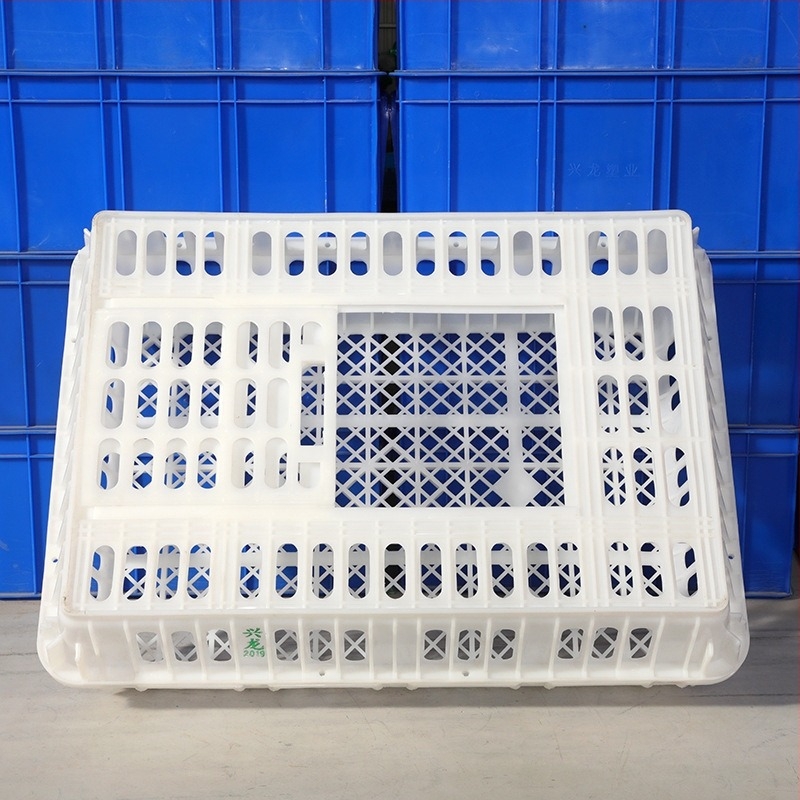 HDPE madárszállító rekesz élő madarak szállításához, magas teherbírású műanyag, nyomtatott logó, saját tömeg 5 kg