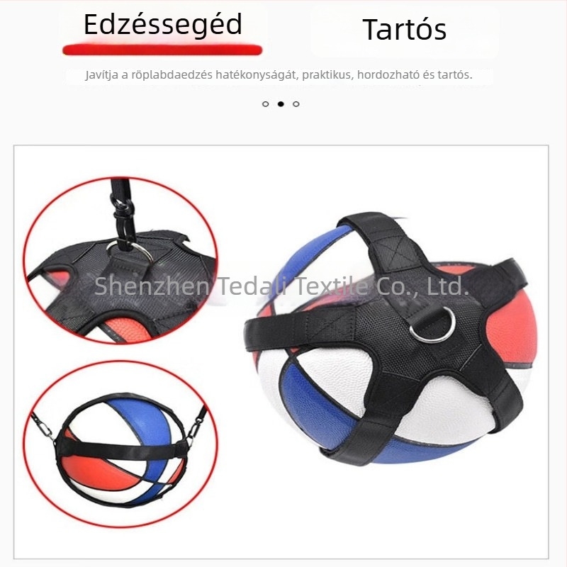 Röplabda ütés-edző állítható rugalmas visszapattanással, labdát védő tok és tartozékok