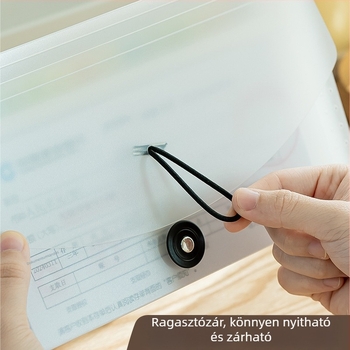 PP anyagú akordeon irattartó címkével, 13 rekesszel, modell SD-N251