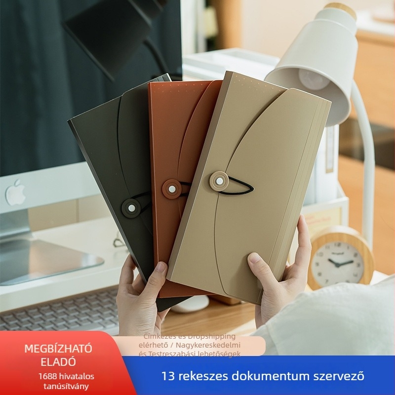 PP anyagú akordeon irattartó címkével, 13 rekesszel, modell SD-N251