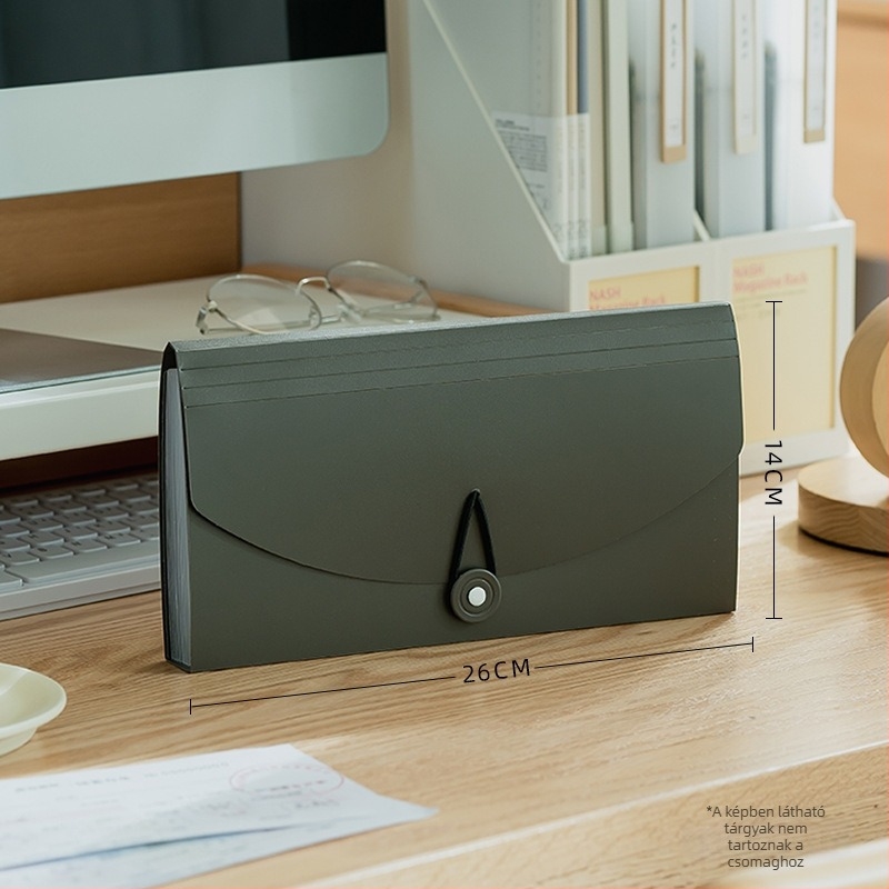 PP anyagú akordeon irattartó címkével, 13 rekesszel, modell SD-N251