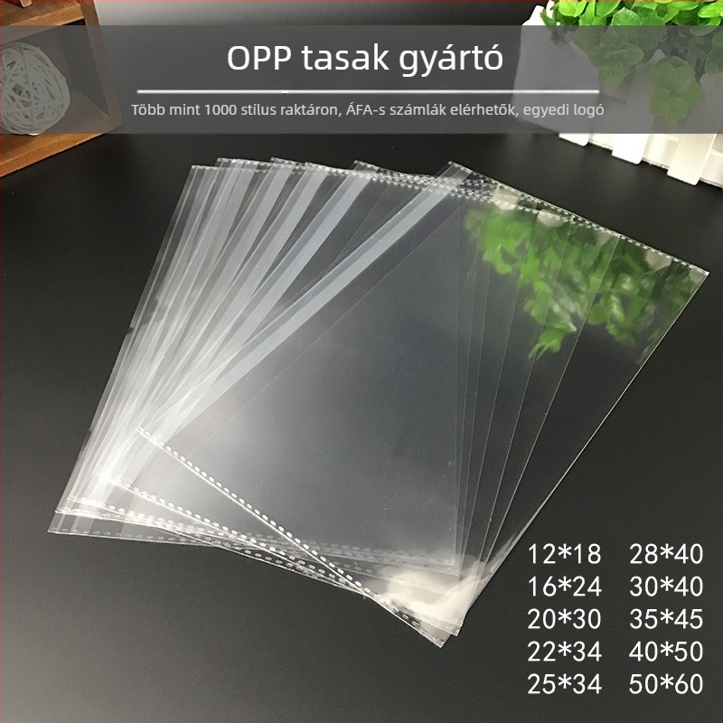 OPP öntapadós záródású tasak, 22 cm szélesség, megerősített, A4 dokumentumokhoz és nyomtatáshoz