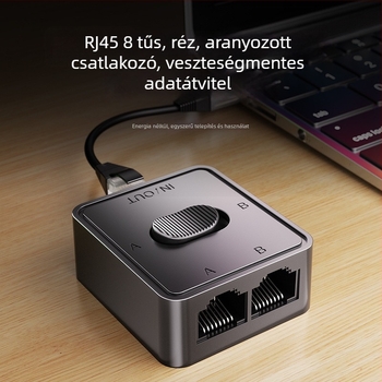 2-portos RJ45 gigabites hálózati kapcsoló, készleten