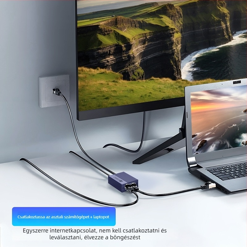 Gigabites RJ45 osztó 1–2-ig, egyidejű internet-hozzáféréshez, típus: kapcsoló/elosztó