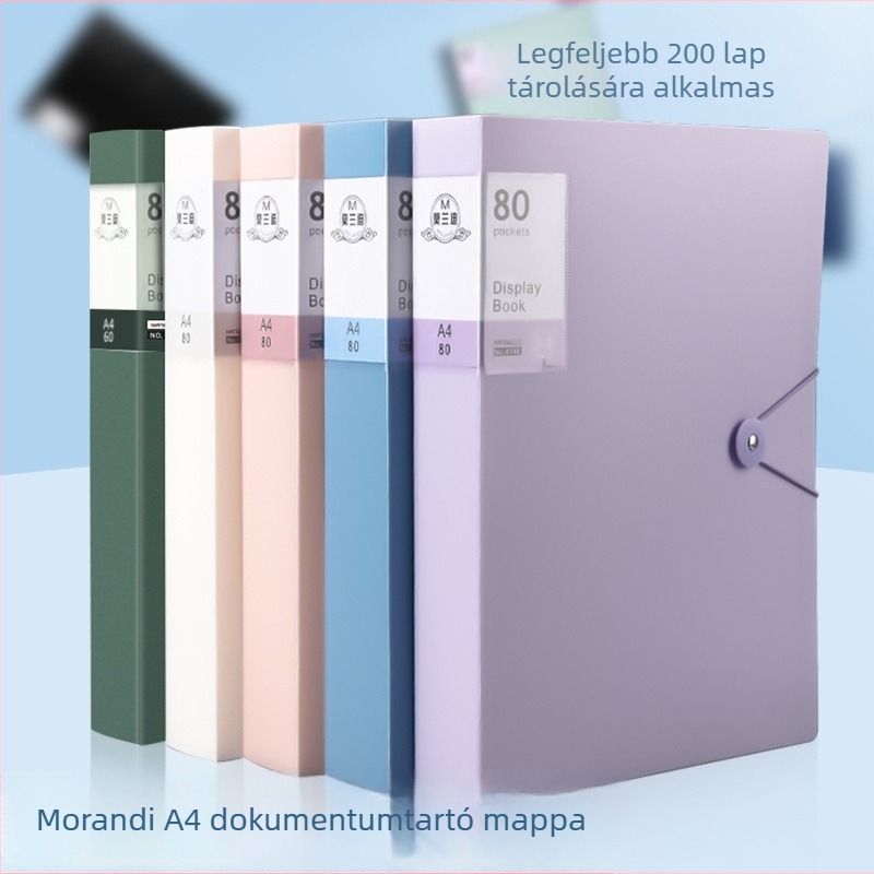 Morandi stílusú kapcsos irattartó mappa, átlátszó dokumentumtároló, 60 oldal