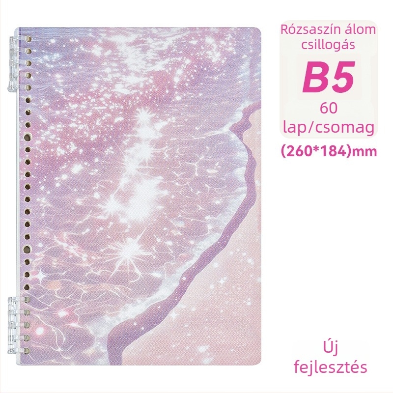 B5-ös oldalas notesz sárkányos mintás borítóval, diákoknak, levehető lapokkal