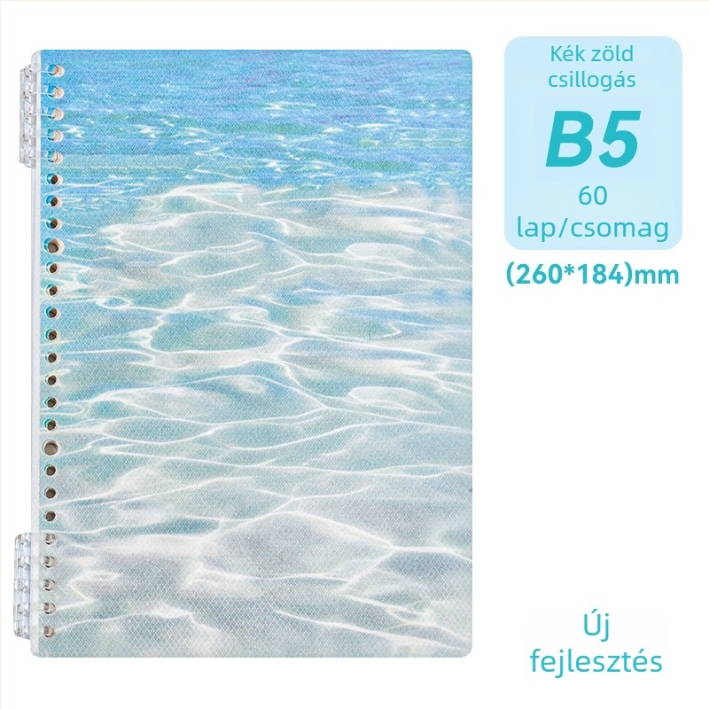 B5-ös oldalas notesz sárkányos mintás borítóval, diákoknak, levehető lapokkal